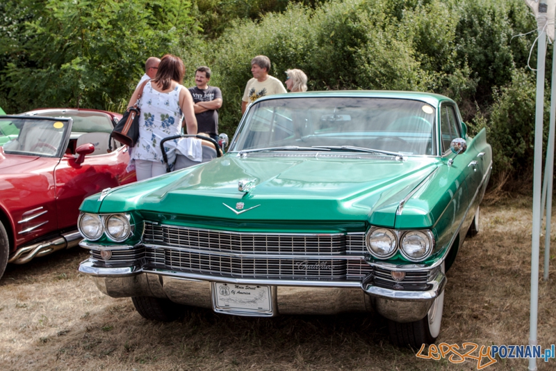 III Piknik z motoryzacją Wiry 2013 - Wiry 18.08.2013 r. Foto: LepszyPOZNAN.pl / Paweł Rychter III Piknik z motoryzacją Wiry 2013 - Wiry 18.08.2013 r. Foto: LepszyPOZNAN.pl / Paweł Rychter