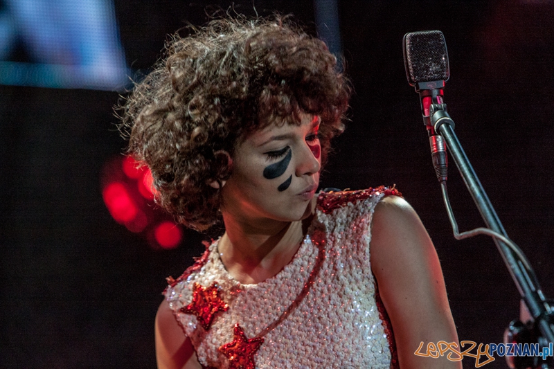 Męskie Granie 2013 (BRODKA) - Poznań 10.08.2013 r. Foto: LepszyPOZNAN.pl / Paweł Rychter Męskie Granie 2013 (BRODKA) - Poznań 10.08.2013 r. Foto: LepszyPOZNAN.pl / Paweł Rychter