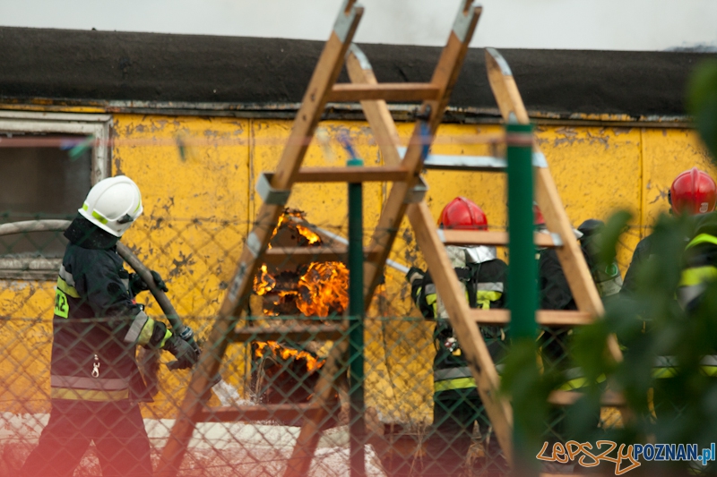 Pożar baraków w Komornikach - 31.08.2013 r. Foto: Ewelina Gutowska Pożar baraków w Komornikach - 31.08.2013 r. Foto: Ewelina Gutowska