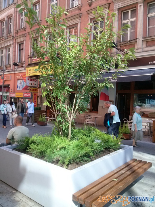 Nowe klomby na Półwiejskiej Foto: ZDM Nowe klomby na Półwiejskiej Foto: ZDM