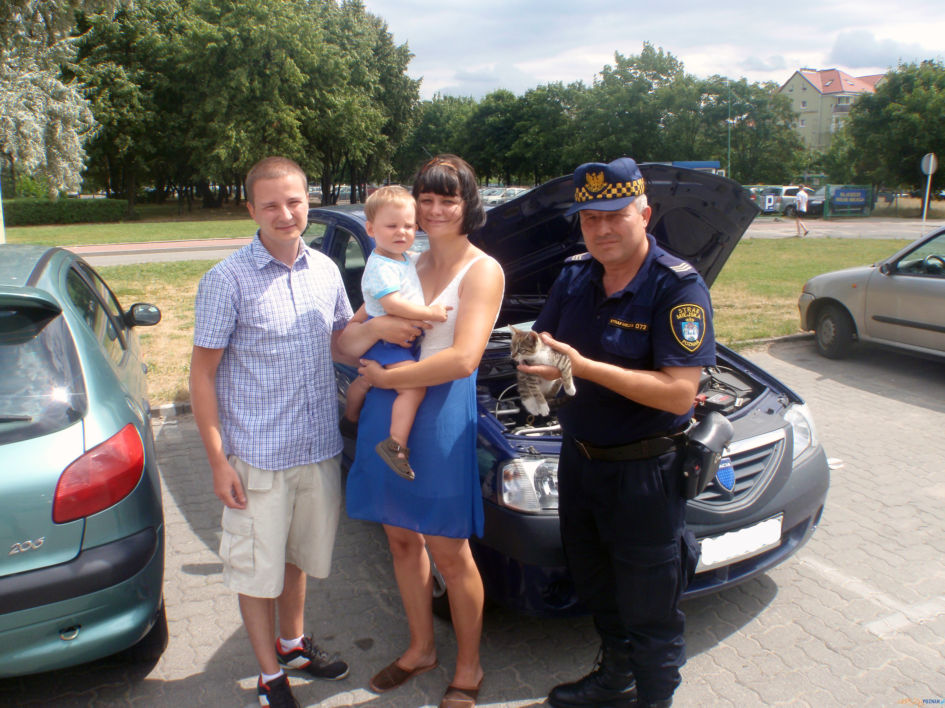 Kotek autostopowicz  Foto: 