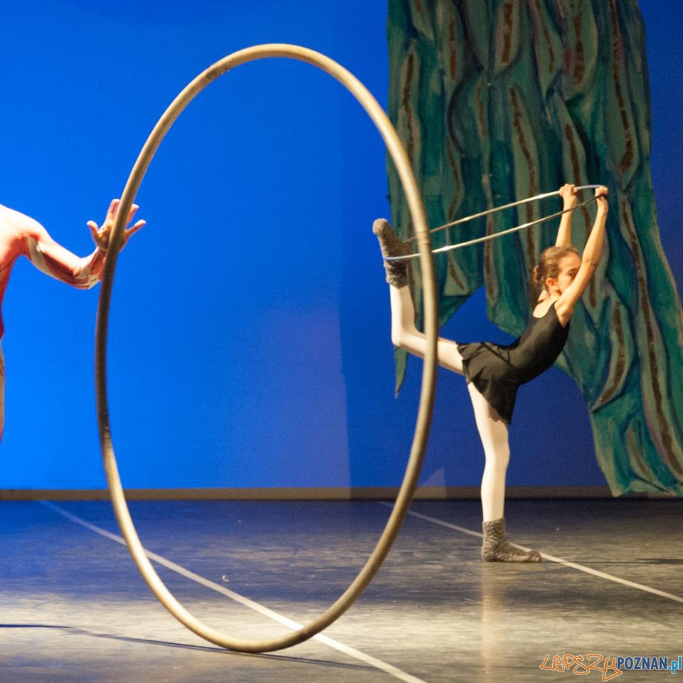 Szkoła Baletowa Anny Niedźwiedź  Foto: facebook