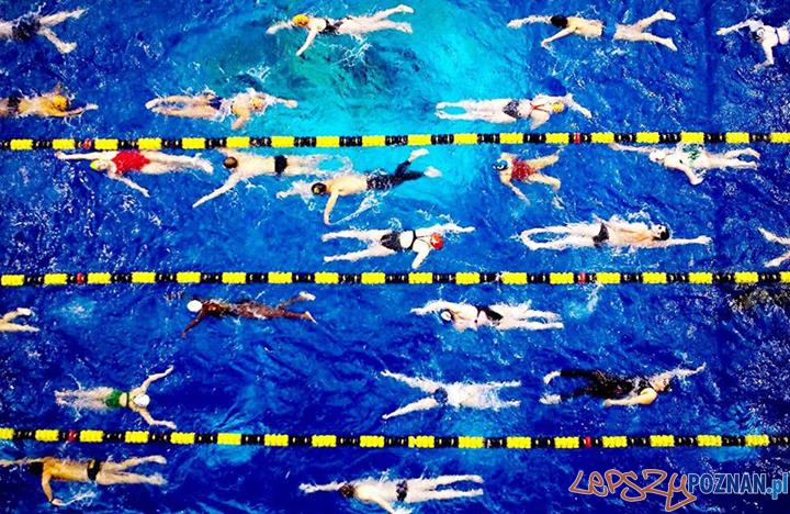 Termy - basen  Foto: facebook