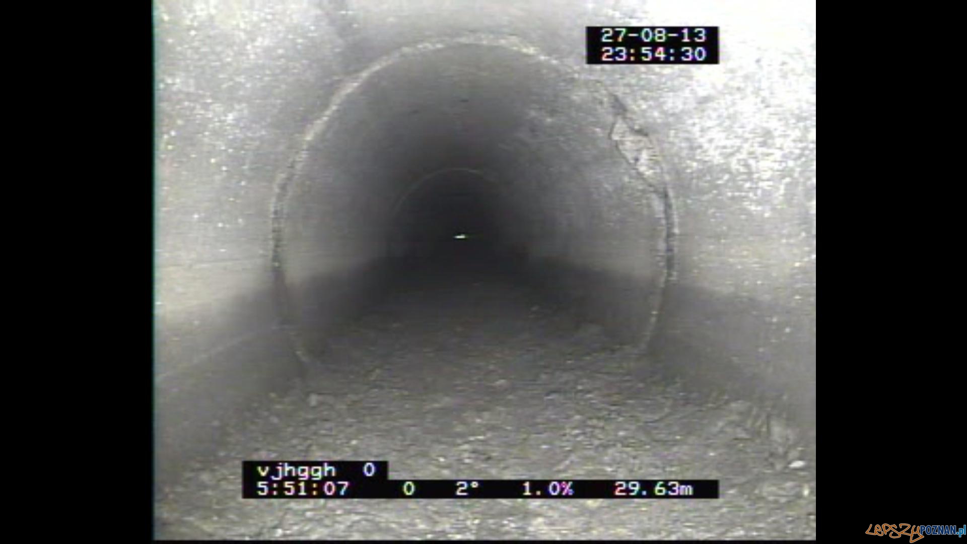 Uwięziony pies (1) Foto: Aquanet Uwięziony pies (1) Foto: Aquanet