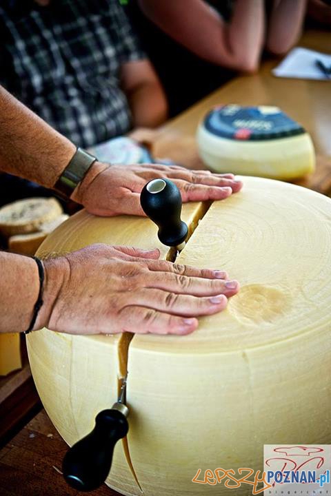 Warsztaty serowe w Spot Foto: blogerchef.pl Warsztaty serowe w Spot Foto: blogerchef.pl