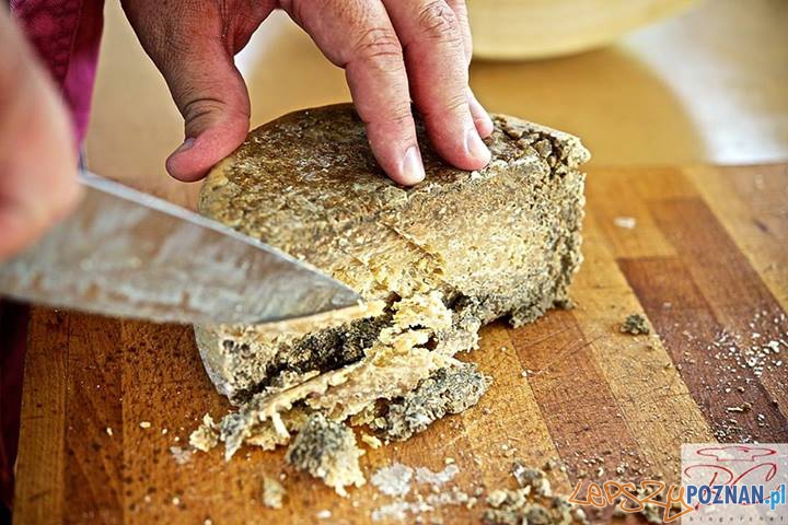 Wyjątkowe sery - warsztaty w Spocie Foto: blogerchef.pl Wyjątkowe sery - warsztaty w Spocie Foto: blogerchef.pl