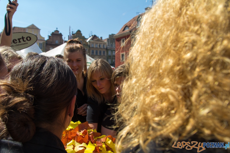 IV Poznański Bieg Kelnerów Vine Bridge - Stary Rynek 17.08.2013 r. Foto: lepszyPOZNAN.pl / Piotr Rychter IV Poznański Bieg Kelnerów Vine Bridge - Stary Rynek 17.08.2013 r. Foto: lepszyPOZNAN.pl / Piotr Rychter