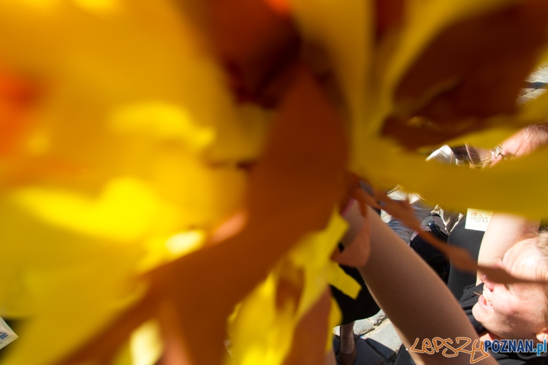IV Poznański Bieg Kelnerów Vine Bridge - Stary Rynek 17.08.2013 r. Foto: lepszyPOZNAN.pl / Piotr Rychter IV Poznański Bieg Kelnerów Vine Bridge - Stary Rynek 17.08.2013 r. Foto: lepszyPOZNAN.pl / Piotr Rychter
