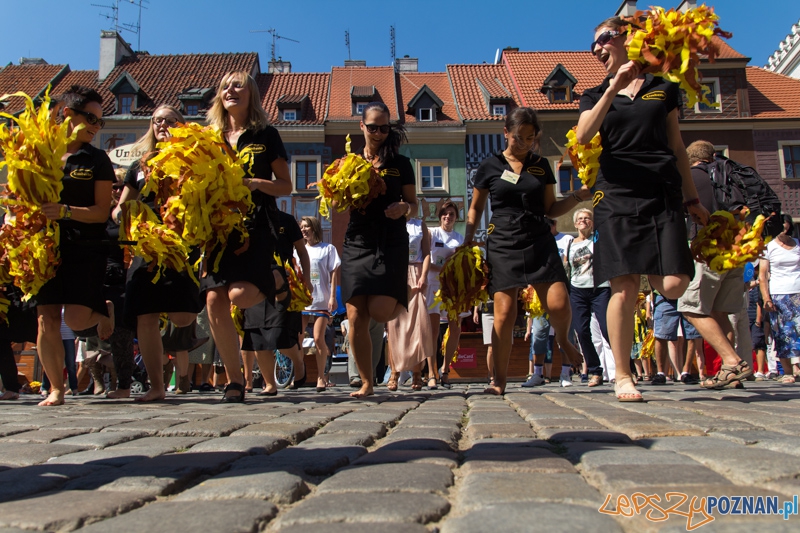 IV Poznański Bieg Kelnerów Vine Bridge - Stary Rynek 17.08.2013 r. Foto: lepszyPOZNAN.pl / Piotr Rychter IV Poznański Bieg Kelnerów Vine Bridge - Stary Rynek 17.08.2013 r. Foto: lepszyPOZNAN.pl / Piotr Rychter
