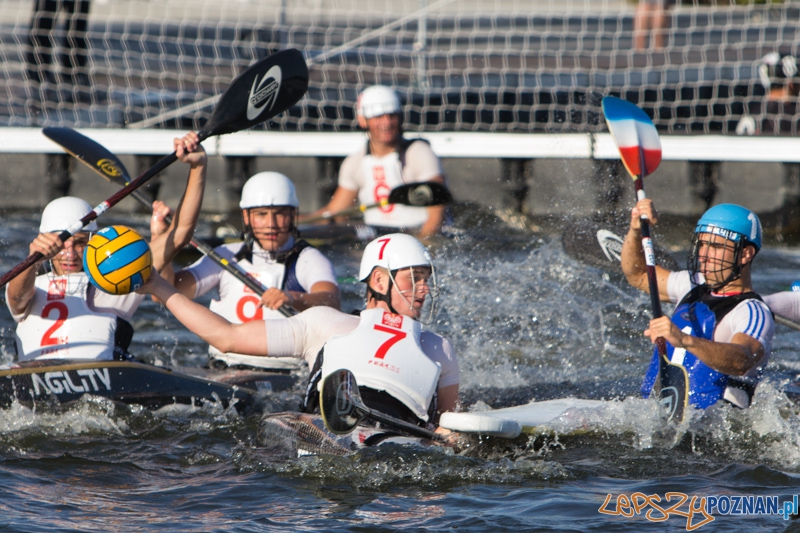 Europejskie Mistrzostwa Kajak polo - Polska - Francja Mężczyźni U21 Foto: lepszyPOZNAN.pl / Piotr Rychter Europejskie Mistrzostwa Kajak polo - Polska - Francja Mężczyźni U21 Foto: lepszyPOZNAN.pl / Piotr Rychter