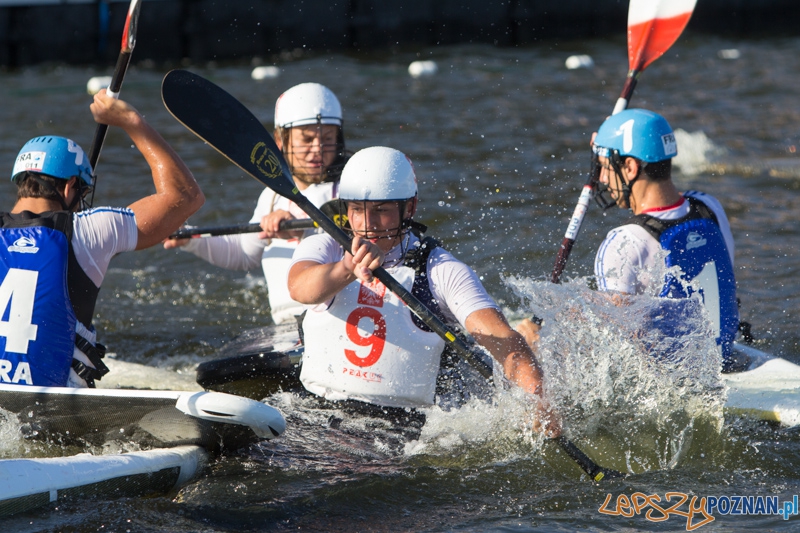 Europejskie Mistrzostwa Kajak polo - Polska - Francja Mężczyźni U21 Foto: lepszyPOZNAN.pl / Piotr Rychter Europejskie Mistrzostwa Kajak polo - Polska - Francja Mężczyźni U21 Foto: lepszyPOZNAN.pl / Piotr Rychter