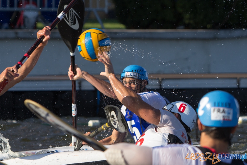 Europejskie Mistrzostwa Kajak polo - Polska - Francja Mężczyźni U21 Foto: lepszyPOZNAN.pl / Piotr Rychter Europejskie Mistrzostwa Kajak polo - Polska - Francja Mężczyźni U21 Foto: lepszyPOZNAN.pl / Piotr Rychter