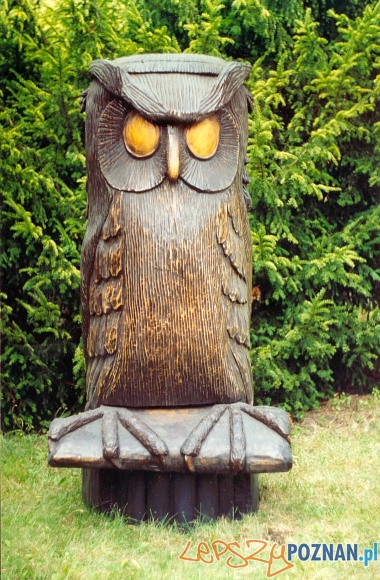 Skansen i Muzeum Pszczelarstwa w Swarzędzu Foto: Skansen i Muzeum Pszczelarstwa w Swarzędzu Skansen i Muzeum Pszczelarstwa w Swarzędzu Foto: Skansen i Muzeum Pszczelarstwa w Swarzędzu