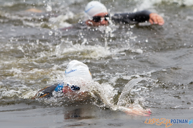 Lotto Poznań Triathlon - 4.08.2013 r. Foto: lepszyPOZNAN.pl / Piotr Rychter Lotto Poznań Triathlon - 4.08.2013 r. Foto: lepszyPOZNAN.pl / Piotr Rychter