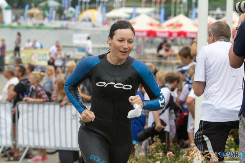 Lotto Poznań Triathlon - 4.08.2013 r. Foto: lepszyPOZNAN.pl / Piotr Rychter Lotto Poznań Triathlon - 4.08.2013 r. Foto: lepszyPOZNAN.pl / Piotr Rychter