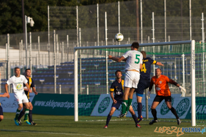 Warta Poznań - Ruch Zdzieszowice Foto: lepszyPOZNAN.pl / Piotr Rychter Warta Poznań - Ruch Zdzieszowice Foto: lepszyPOZNAN.pl / Piotr Rychter