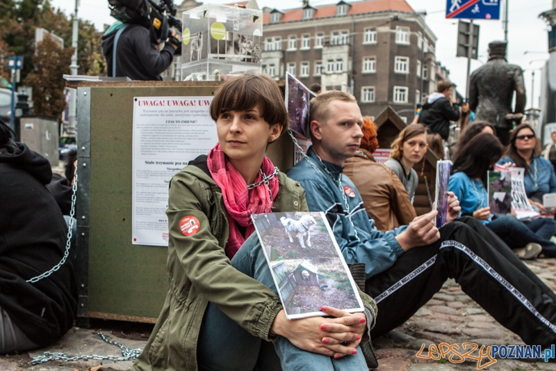 Protest Zerwijmy Łańcuchy - 15.09.2013 r. Foto: LepszyPOZNAN.pl / Paweł Rychter Protest Zerwijmy Łańcuchy - 15.09.2013 r. Foto: LepszyPOZNAN.pl / Paweł Rychter