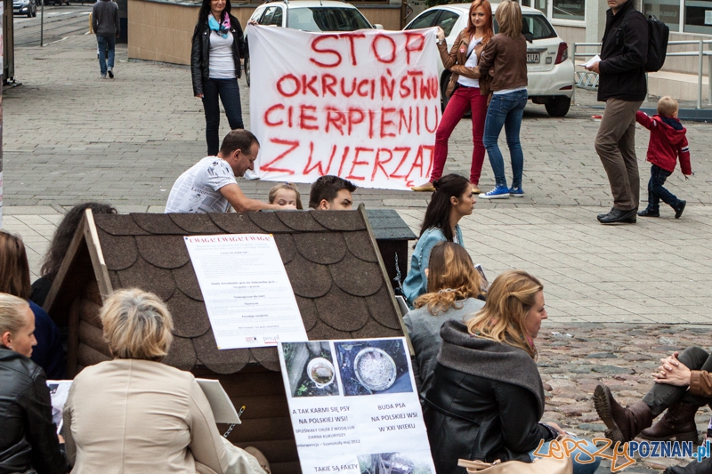Protest Zerwijmy Łańcuchy - 15.09.2013 r. Foto: LepszyPOZNAN.pl / Paweł Rychter Protest Zerwijmy Łańcuchy - 15.09.2013 r. Foto: LepszyPOZNAN.pl / Paweł Rychter