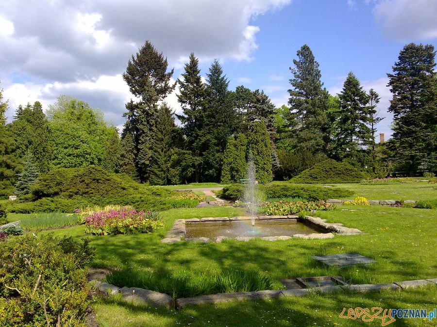 Botanik Foto: lepszyPOZNAN.pl / TD Botanik Foto: lepszyPOZNAN.pl / TD