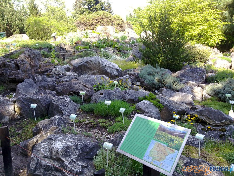 Botanik Foto: lepszyPOZNAN.pl / TD Botanik Foto: lepszyPOZNAN.pl / TD