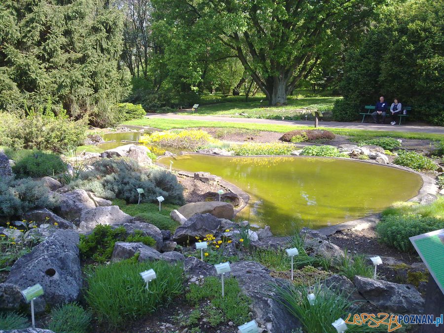 Botanik Foto: lepszyPOZNAN.pl / TD Botanik Foto: lepszyPOZNAN.pl / TD