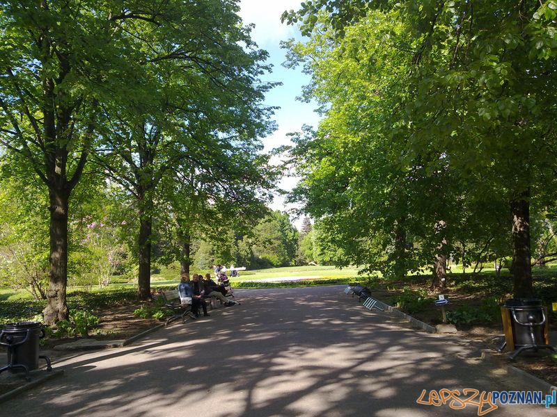 Botanik Foto: lepszyPOZNAN.pl / TD Botanik Foto: lepszyPOZNAN.pl / TD