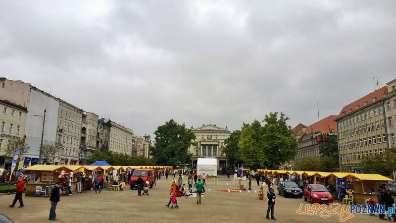 Dzień Organizacji Pozarządowych (10) Foto: TD Dzień Organizacji Pozarządowych (10) Foto: TD