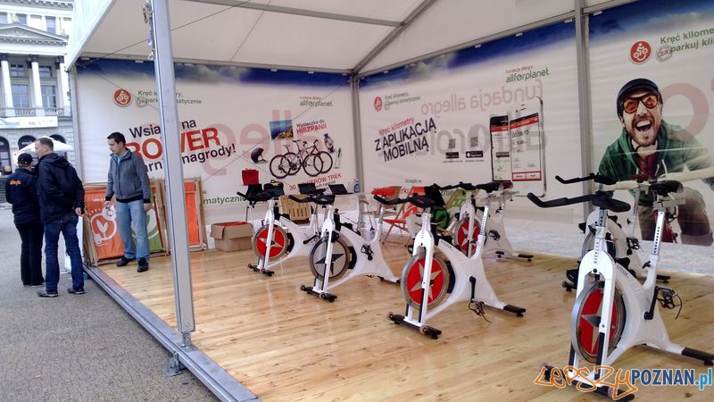 Dzień Organizacji Pozarządowych (2) Foto: TD Dzień Organizacji Pozarządowych (2) Foto: TD