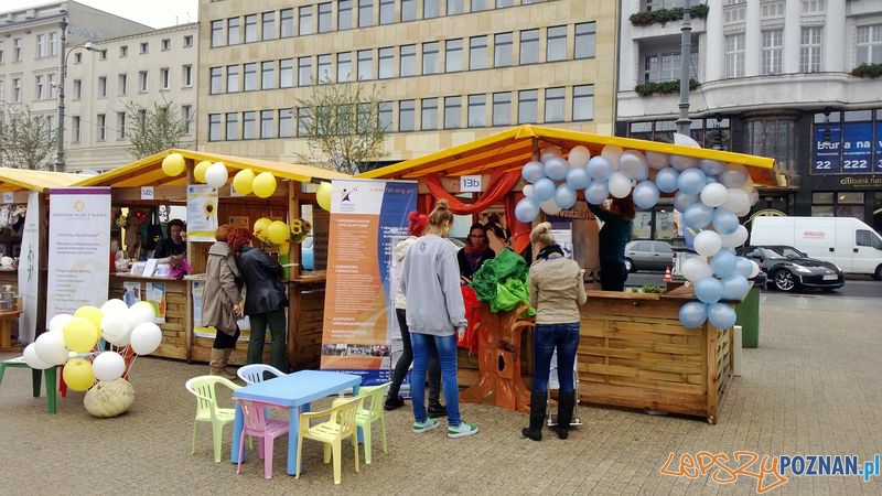 Dzień Organizacji Pozarządowych (5) Foto: TD Dzień Organizacji Pozarządowych (5) Foto: TD