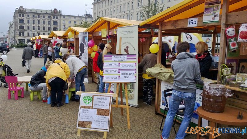 Dzień Organizacji Pozarządowych (6) Foto: TD Dzień Organizacji Pozarządowych (6) Foto: TD