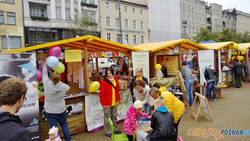 Dzień Organizacji Pozarządowych (8) Foto: TD Dzień Organizacji Pozarządowych (8) Foto: TD