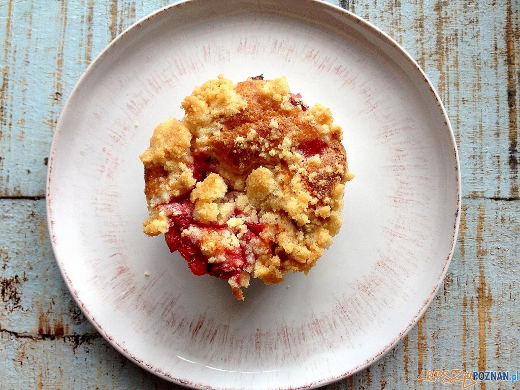 Mufinek poleca się na podwieczorek Foto: chilifiga.pl Mufinek poleca się na podwieczorek Foto: chilifiga.pl