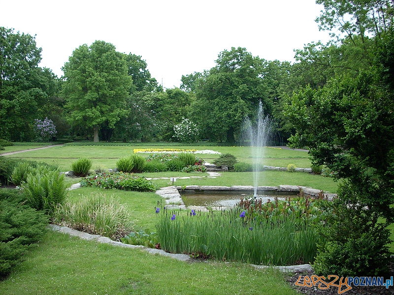 Ogród Botaniczny Foto: CC wikipedia Ogród Botaniczny Foto: CC wikipedia