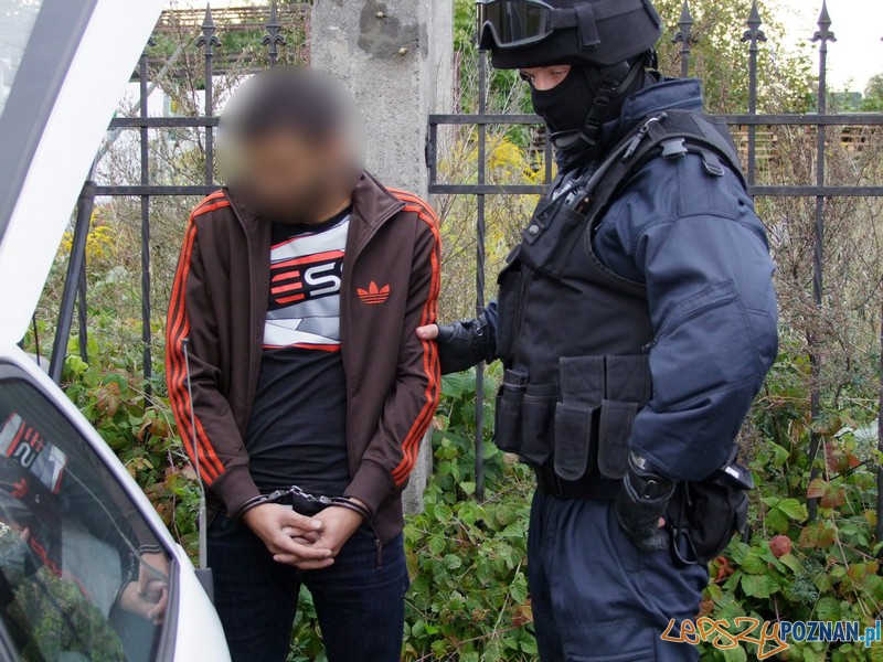 Policja zatrzymała sutenerów (6)  Foto: materiały policji 