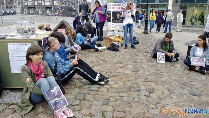 Przykuli się do budy - akcja przeciwko dręczeniu zwierząt Foto: TD Przykuli się do budy - akcja przeciwko dręczeniu zwierząt Foto: TD