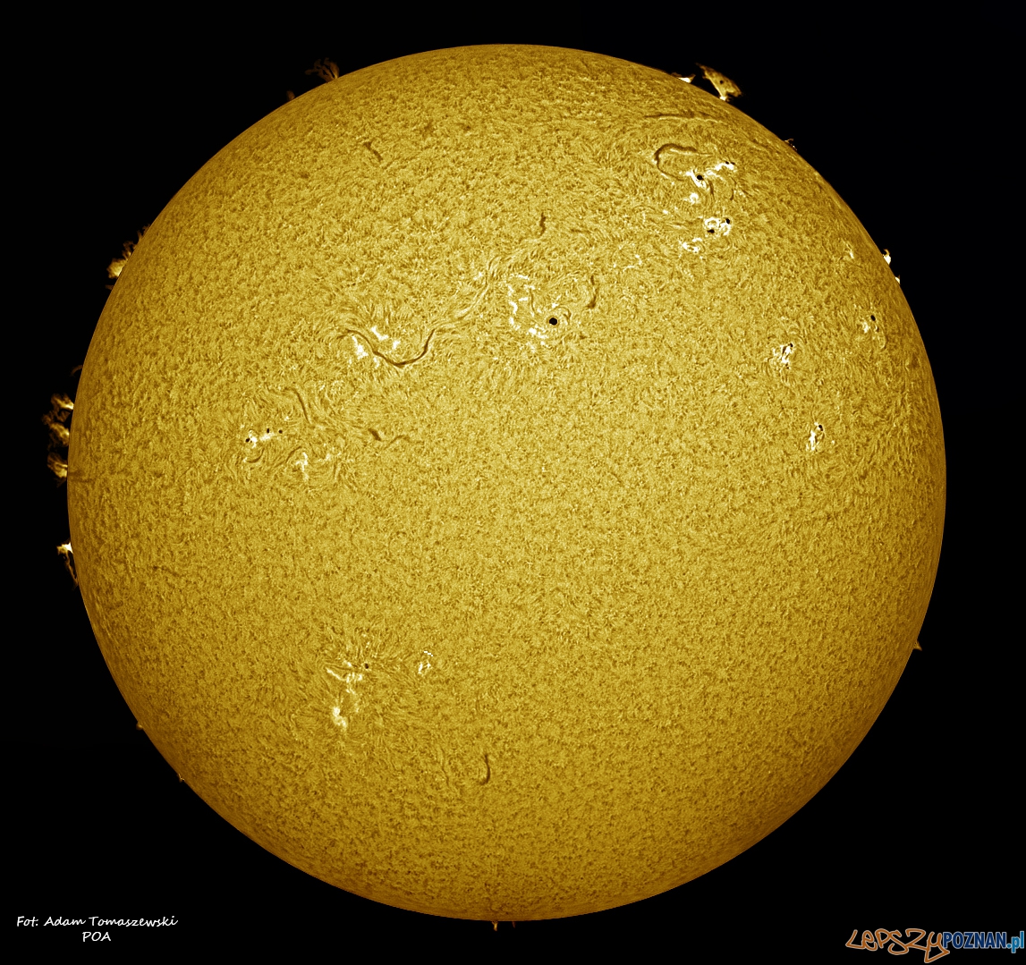 Słońce h-alpha Foto: Adam Tomaszewski Słońce h-alpha Foto: Adam Tomaszewski