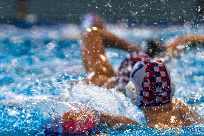 PP: DSW Waterpolo Poznań - Arkonia Szczecin 13:9 - Poznań 05.10.2013 r. Foto: LepszyPOZNAN.pl / Paweł Rychter PP: DSW Waterpolo Poznań - Arkonia Szczecin 13:9 - Poznań 05.10.2013 r. Foto: LepszyPOZNAN.pl / Paweł Rychter