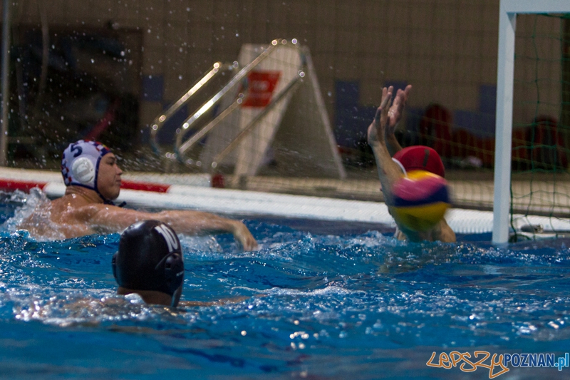 PP: DSW Waterpolo Poznań - Arkonia Szczecin 13:9 - Poznań 05.10.2013 r. Foto: LepszyPOZNAN.pl / Paweł Rychter PP: DSW Waterpolo Poznań - Arkonia Szczecin 13:9 - Poznań 05.10.2013 r. Foto: LepszyPOZNAN.pl / Paweł Rychter