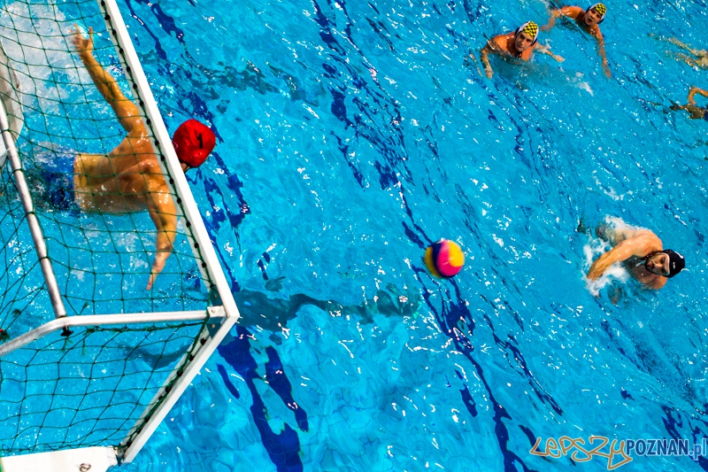 PP: ŁSTW U.Ł. Łódź – DSW Waterpolo Poznań 11:6 - Poznań 06.10.2013 r. Foto: LepszyPOZNAN.pl / Paweł Rychter PP: ŁSTW U.Ł. Łódź – DSW Waterpolo Poznań 11:6 - Poznań 06.10.2013 r. Foto: LepszyPOZNAN.pl / Paweł Rychter