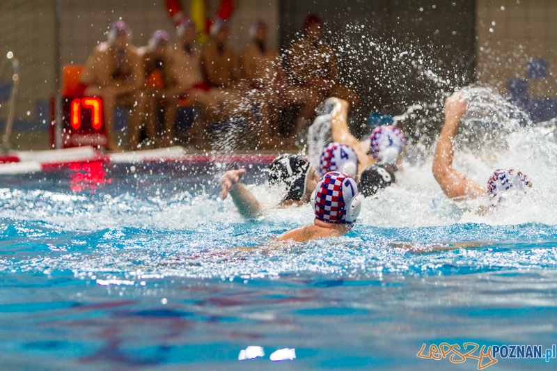 PP: DSW Waterpolo Poznań - Arkonia Szczecin 13:9 - Poznań 05.10.2013 r. Foto: LepszyPOZNAN.pl / Paweł Rychter PP: DSW Waterpolo Poznań - Arkonia Szczecin 13:9 - Poznań 05.10.2013 r. Foto: LepszyPOZNAN.pl / Paweł Rychter