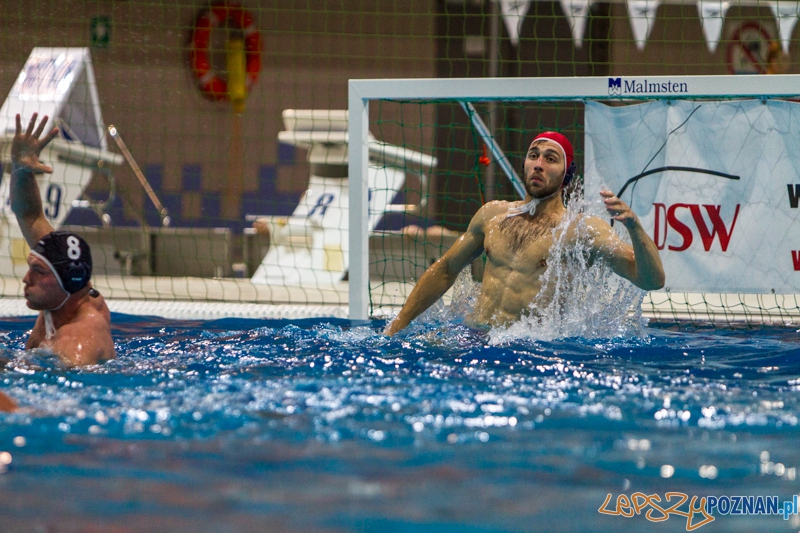 PP: DSW Waterpolo Poznań - Arkonia Szczecin 13:9 - Poznań 05.10.2013 r. Foto: LepszyPOZNAN.pl / Paweł Rychter PP: DSW Waterpolo Poznań - Arkonia Szczecin 13:9 - Poznań 05.10.2013 r. Foto: LepszyPOZNAN.pl / Paweł Rychter