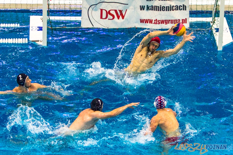 PP: DSW Waterpolo Poznań - Arkonia Szczecin 13:9 - Poznań 05.10.2013 r. Foto: LepszyPOZNAN.pl / Paweł Rychter PP: DSW Waterpolo Poznań - Arkonia Szczecin 13:9 - Poznań 05.10.2013 r. Foto: LepszyPOZNAN.pl / Paweł Rychter