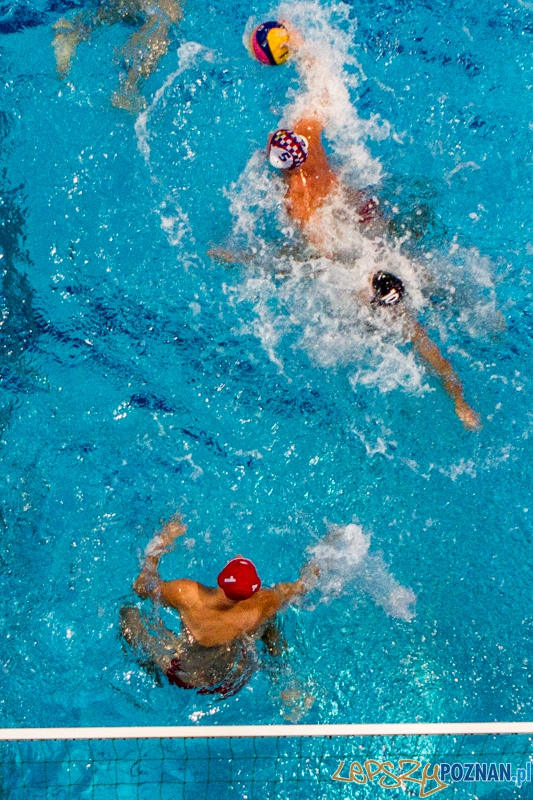PP: DSW Waterpolo Poznań - Arkonia Szczecin 13:9 - Poznań 05.10.2013 r. Foto: LepszyPOZNAN.pl / Paweł Rychter PP: DSW Waterpolo Poznań - Arkonia Szczecin 13:9 - Poznań 05.10.2013 r. Foto: LepszyPOZNAN.pl / Paweł Rychter