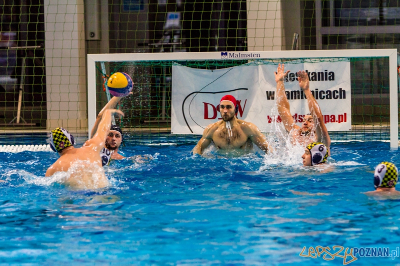 PP: ŁSTW U.Ł. Łódź – DSW Waterpolo Poznań 11:6 - Poznań 06.10.2013 r. Foto: LepszyPOZNAN.pl / Paweł Rychter PP: ŁSTW U.Ł. Łódź – DSW Waterpolo Poznań 11:6 - Poznań 06.10.2013 r. Foto: LepszyPOZNAN.pl / Paweł Rychter