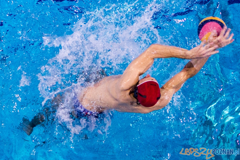 PP: DSW Waterpolo Poznań - Arkonia Szczecin 13:9 - Poznań 05.10.2013 r. Foto: LepszyPOZNAN.pl / Paweł Rychter PP: DSW Waterpolo Poznań - Arkonia Szczecin 13:9 - Poznań 05.10.2013 r. Foto: LepszyPOZNAN.pl / Paweł Rychter