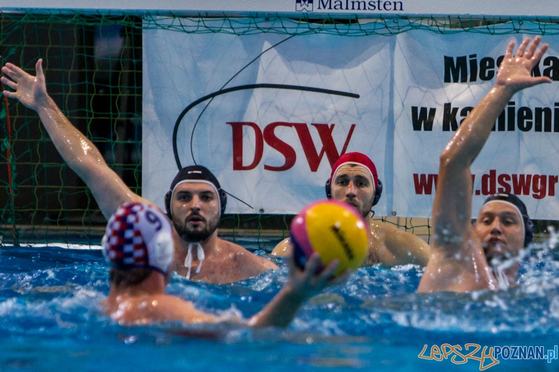 PP: DSW Waterpolo Poznań - Arkonia Szczecin 13:9 - Poznań 05.10.2013 r. Foto: LepszyPOZNAN.pl / Paweł Rychter PP: DSW Waterpolo Poznań - Arkonia Szczecin 13:9 - Poznań 05.10.2013 r. Foto: LepszyPOZNAN.pl / Paweł Rychter