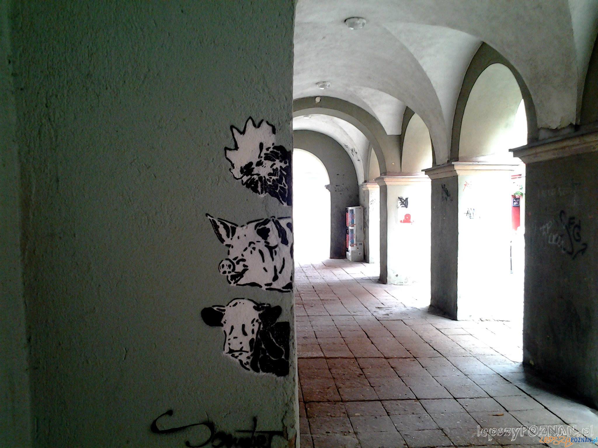 Podcienie na ul. Wodnej Foto: lepszyPOZNAN.pl / tab 10.1 Podcienie na ul. Wodnej Foto: lepszyPOZNAN.pl / tab 10.1