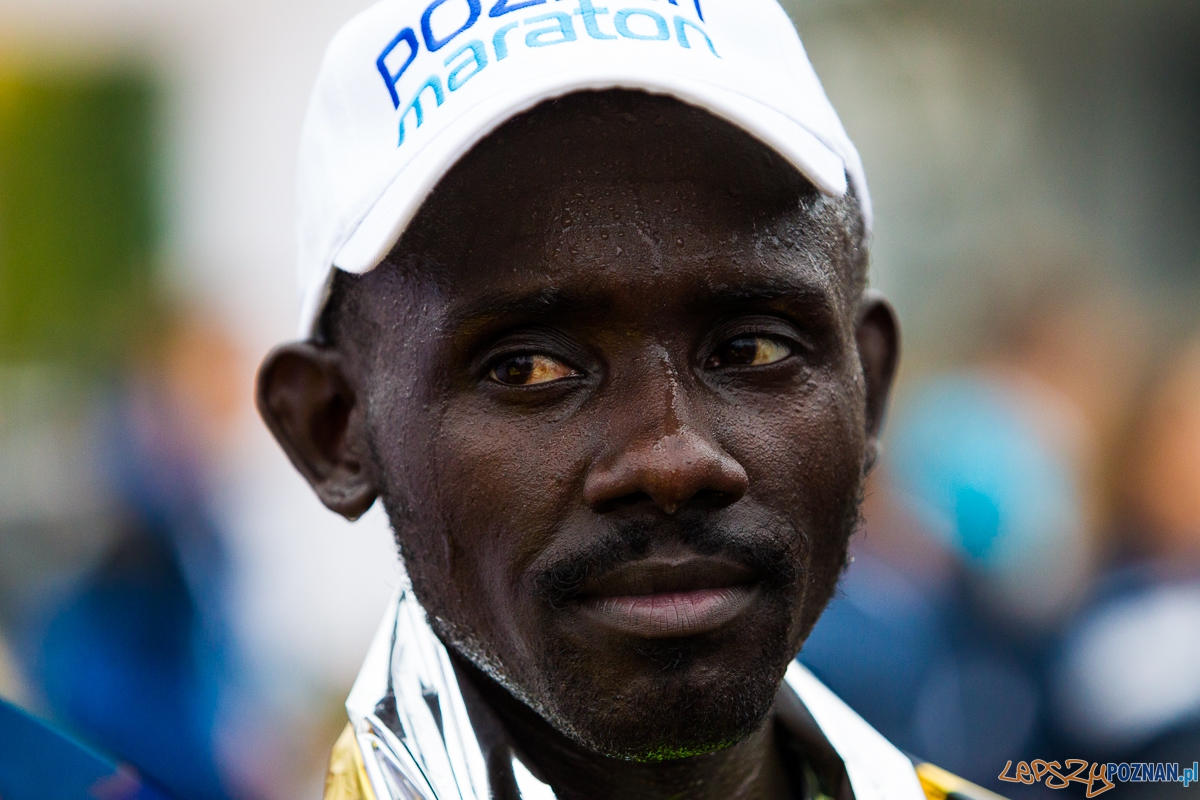 14 Maraton Poznań (3) Foto: Marek Zakrzewski 14 Maraton Poznań (3) Foto: Marek Zakrzewski