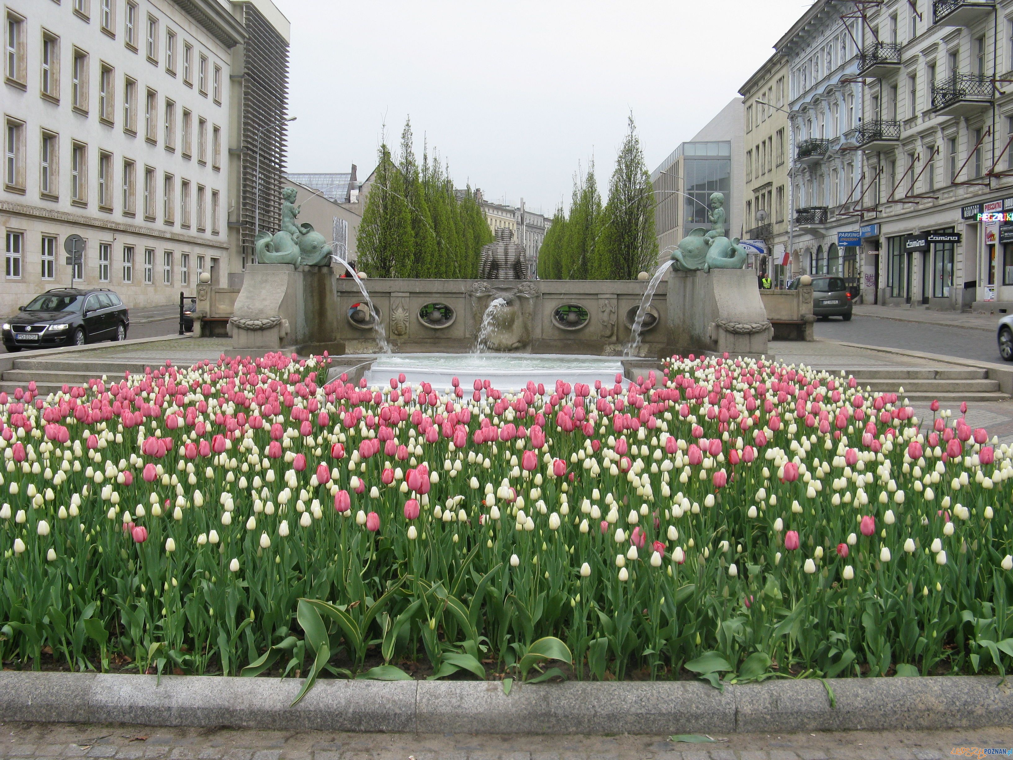 2-Janusz Kalemba  Foto: 