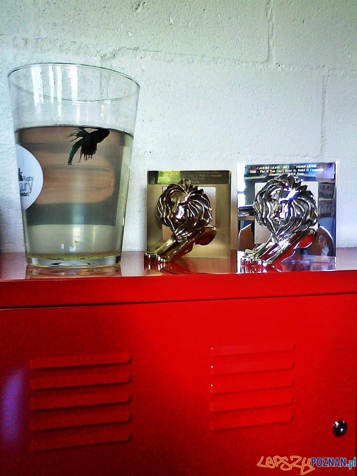 Cannes Lions  Foto: facebook